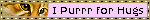 'i purr for hugs' blinkie with realistic orange cat face on purple background