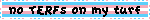 'no TERFs on my turf' blinkie on trans flag background