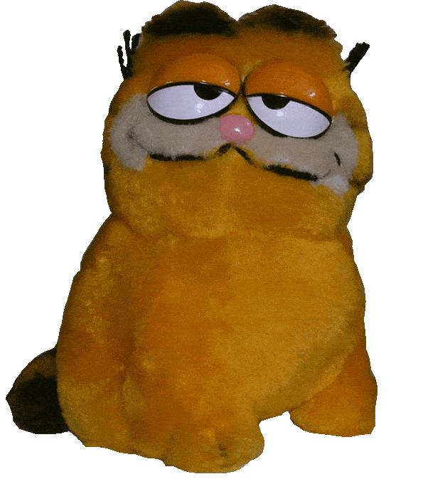 preview of what it looks like when you rotate a garfield plushie in your mind