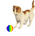 brown and white cat playing with a rainbow ball