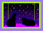 2 cat silhouettes in a neon green and purple starry window