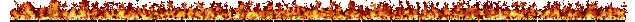 orange realistic animated fire divider