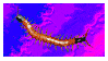 centipede on flashing rainbow stamp