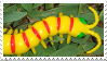 toy centipede on leaves stamp