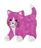 tiny sparkly pink tuxedo cat