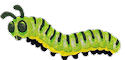 green caterpillar with black stripes