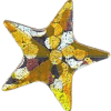 small gold glitter star