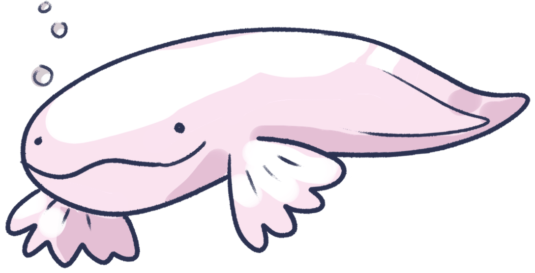 A smiling snailfish in an aquarium.